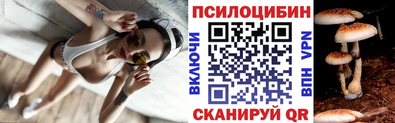 darknet наркотические препараты  Пятигорск  Галлюциногенные грибы ЛСД  MEGA ONION 