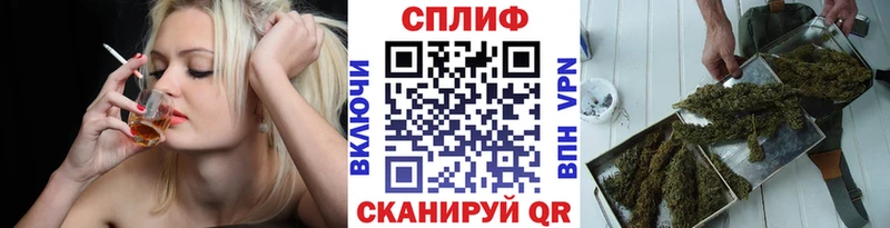 что такое Пятигорск Канабис планчик